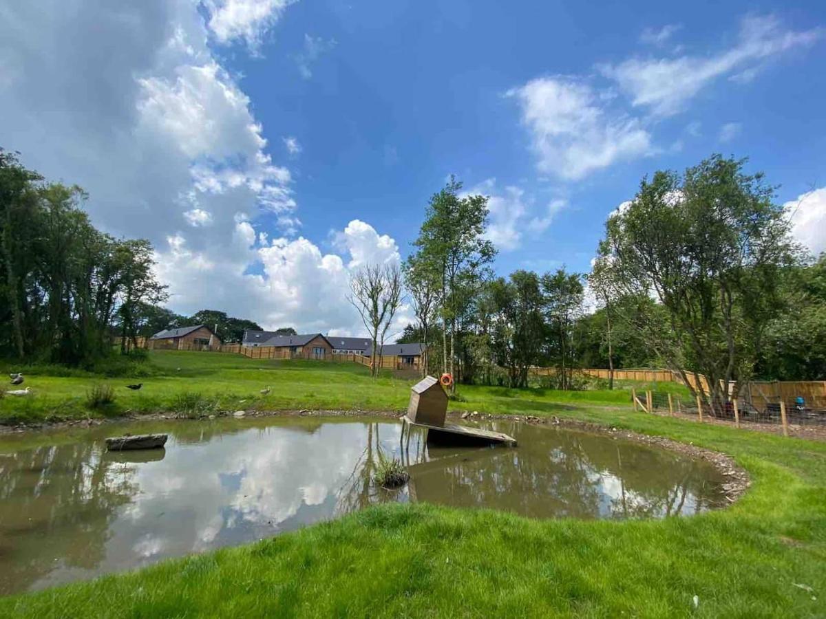 Cedar Cottage Тенби Екстериор снимка